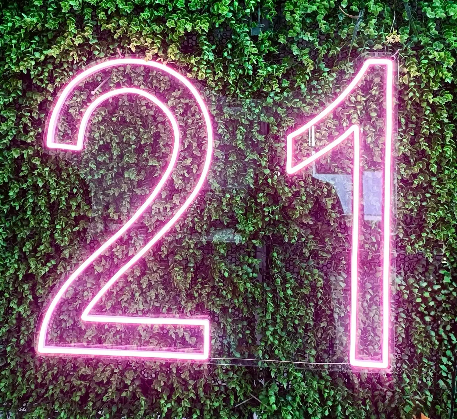 21 – Neon Sign