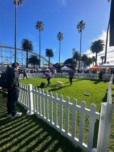 Picket Fencing Setup St Kilda Melbourne