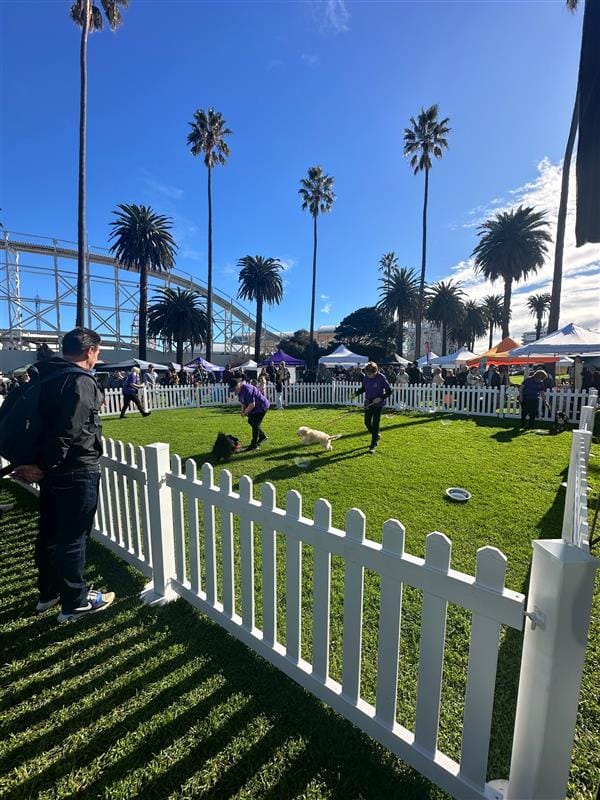 Picket Fencing Setup St Kilda Melbourne